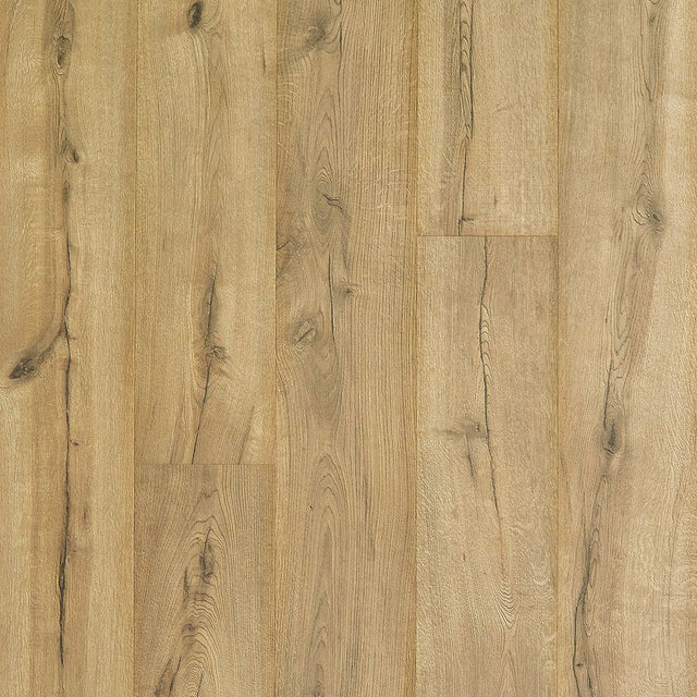 Mohawk Castlebriar Cavalry Oak — merchant product photo