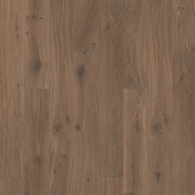 Quick-Step Ellicott Point Leather Bound Oak — merchant product photo